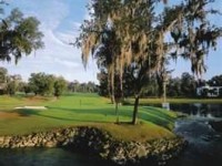 Homes for sale in Country Club of Ocala 