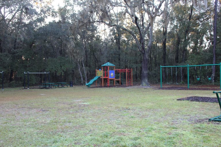 Homes for sale in Dalton Woods in Ocala, Florida. Ocala Neighborhoods