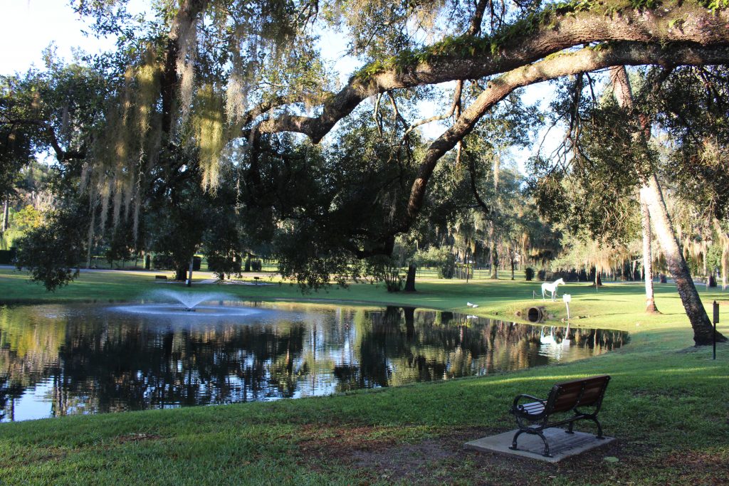 Woodfields Homes for sale in Woodfields area of SE Ocala