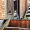 Home Inspection Home Inspection
