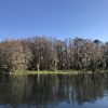 Best Places to Beat the Heat Rainbow River