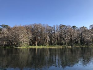 Dunnellon